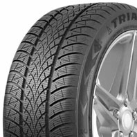 165/65R14 79T Triangle WinterX TW401